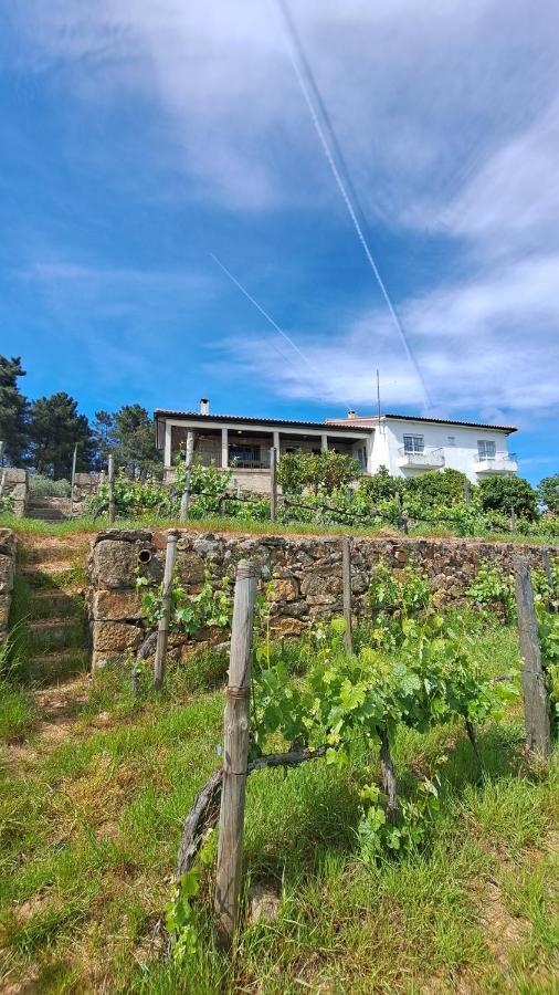 Ferienwohnung Quinta Soutelinho Sabrosa Exterior foto
